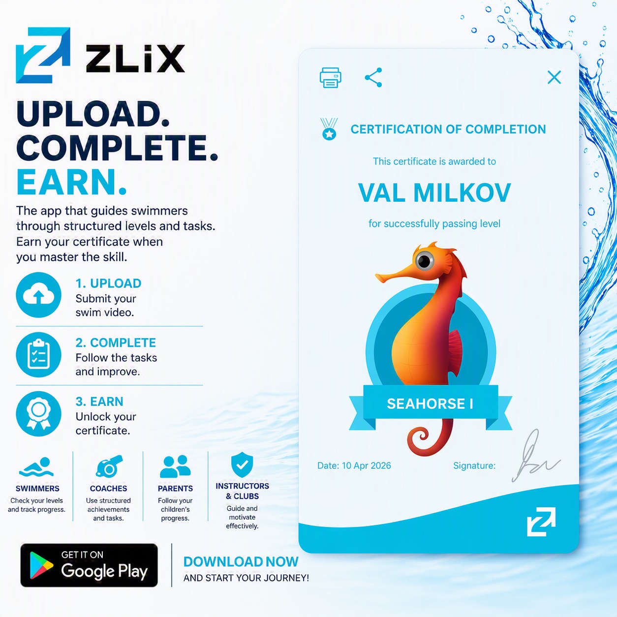 ZLiX verification and certification flow